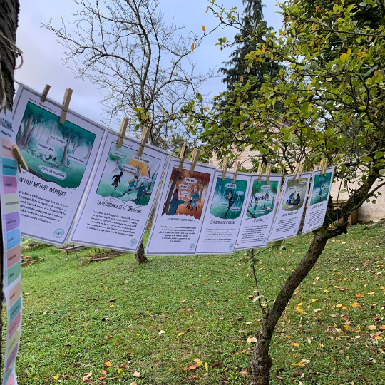 Développement moteur