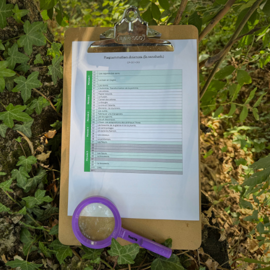 Développement moteur